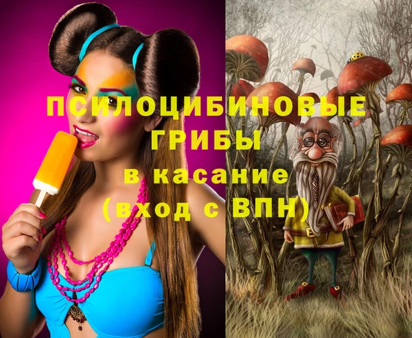 бутират Богородицк