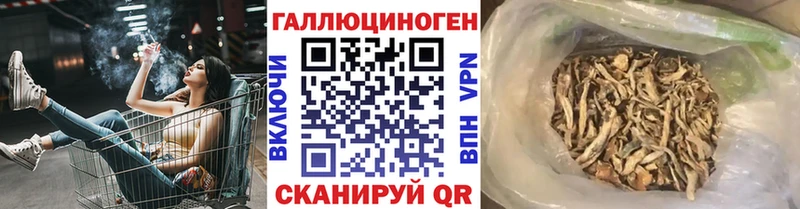 Псилоцибиновые грибы мицелий  маркетплейс состав  Ногинск 
